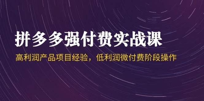 拼多多强付费实战课-44期，高利润产品项目经验，低利润微付费阶段操作 - 奉壹网创-奉壹网创