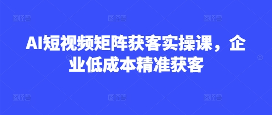AI短视频矩阵获客实操课，企业低成本精准获客 - 奉壹网创-奉壹网创