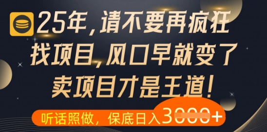 什么？25年你还在疯狂找项目做，醒醒吧，看完这些你全都懂了【揭秘】 - 奉壹网创-奉壹网创