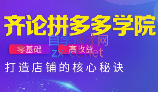 齐论拼多多vip课程 - 奉壹网创-奉壹网创
