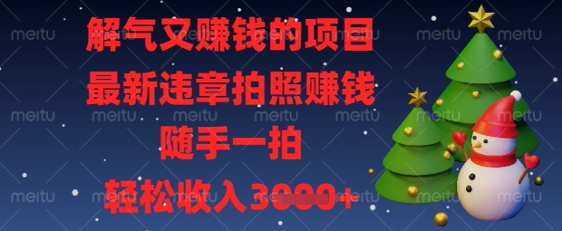 解气又挣钱的项目，最新违章拍照挣钱，随手一拍，轻松收入数张【揭秘】 - 奉壹网创-奉壹网创