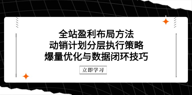 全站盈利布局方法：动销计划分层执行策略，爆量优化与数据闭环技巧 - 奉壹网创-奉壹网创