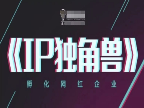 IP独角兽，孵化网红企业，ip教程 - 奉壹网创-奉壹网创