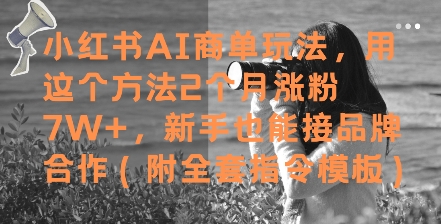 小红书AI商单玩法，用这个方法2个月涨粉7W+，新手也能接品牌合作(附全套指令模板) - 奉壹网创-奉壹网创