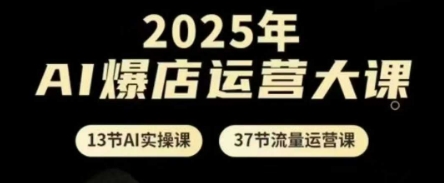 2025年AI爆店运营大课，13节AI实操课+37节流量运营课 - 奉壹网创-奉壹网创