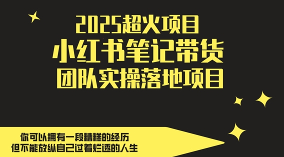 2025超火项目，副业最佳选择，小红书笔记带货团队实操落地项目，，轻松日入5张 - 奉壹网创-奉壹网创