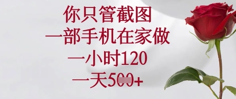 你只管截图，一部手机在家做，苹果安卓都可以，一小时120，一天5张+【揭秘】 - 奉壹网创-奉壹网创