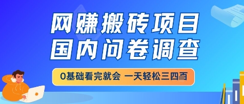 网创搬砖项目，国内问卷调查，小白轻松上手，一天三四张的也不难，干就完了【揭秘】 - 奉壹网创-奉壹网创