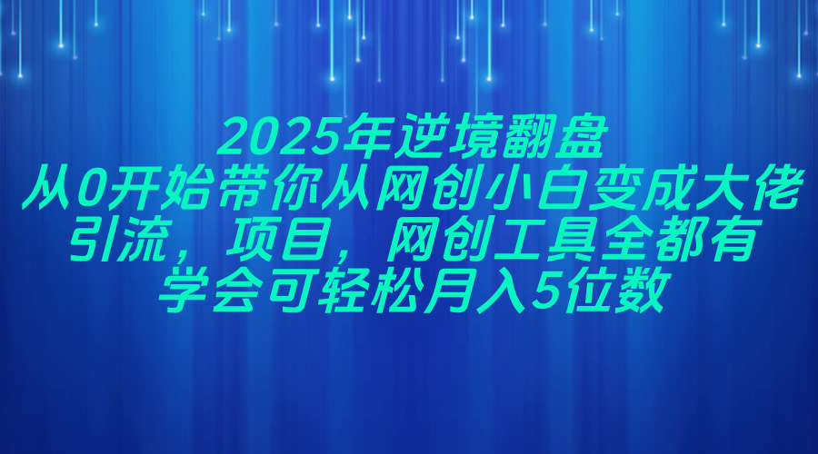 2025年逆境翻盘，从0开始带你从网创小白变成大佬，引流，项目，网创工... - 奉壹网创-奉壹网创