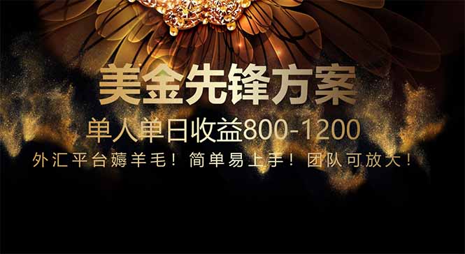 免费技术！小众赛道！一年布局抵三年努力，每日800+ - 奉壹网创-奉壹网创