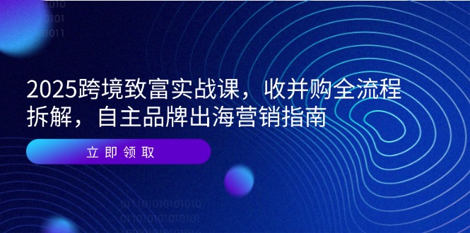 2025跨境致富实战课，收并购全流程拆解，自主品牌出海营销指南 - 奉壹网创-奉壹网创