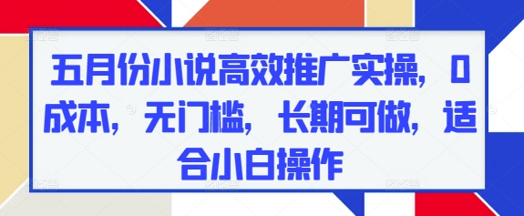 五月份小说高效推广实操，0成本，无门槛，长期可做，适合小白操作 - 奉壹网创-奉壹网创