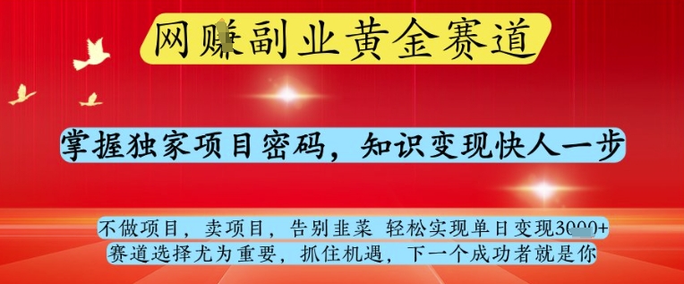 网创副业黄全赛道，掌握独家项目密码，知识变现快人一步，告别韭菜轻松实现单日变现1k+【揭秘】 - 奉壹网创-奉壹网创