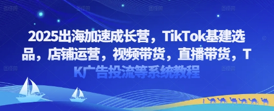 2025出海加速成长营，TikTok基建选品，店铺运营，视频带货，直播带货，TK广告投流等系统教程 - 奉壹网创-奉壹网创