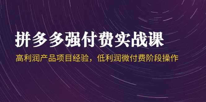 拼多多强付费实战课-44期，高利润产品项目经验，低利润微付费阶段操作 - 奉壹网创-奉壹网创