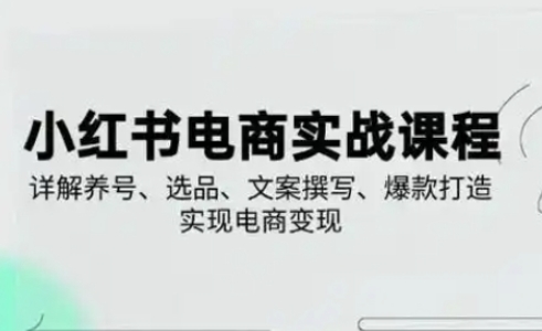小红书从0-1实操课(2023-2025)，详解养号、选品、文案撰写、爆款打造实现电商变现 - 奉壹网创-奉壹网创