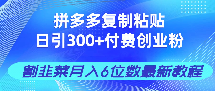 拼多多复制粘贴日引300+付费创业粉，割韭菜月入6位数最新教程！ - 奉壹网创-奉壹网创
