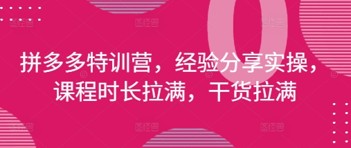 拼多多特训营，经验分享实操，课程时长拉满，干货拉满(更新25年4月) - 奉壹网创-奉壹网创