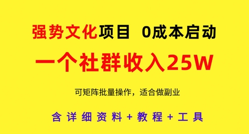 强势文化项目，一个社群收入25个W，0成本启动，可矩阵批量操作，原创详细实操教程 - 奉壹网创-奉壹网创