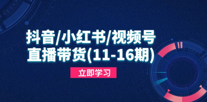 抖音/小红书/视频号/直播带货(11-16期 - 奉壹网创-奉壹网创