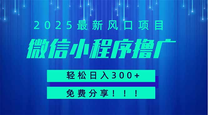 微信小程序撸广，最新风口项目，日入300+ 免费分享 可批量操作 小白可... - 奉壹网创-奉壹网创