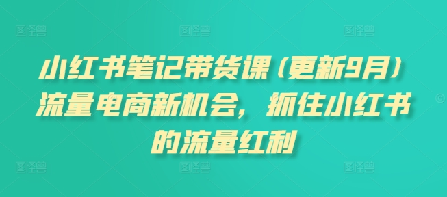 小红书笔记带货课(更新25年5月)流量电商新机会，抓住小红书的流量红利 - 奉壹网创-奉壹网创