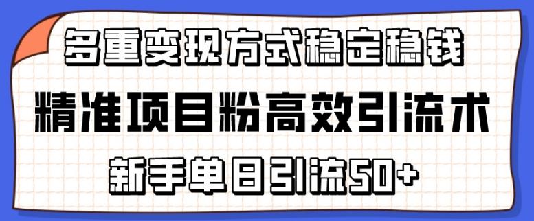 精准项目粉高效引流术，新手单日引流50+，多重变现方式稳定赚钱【揭秘】 - 奉壹网创-奉壹网创