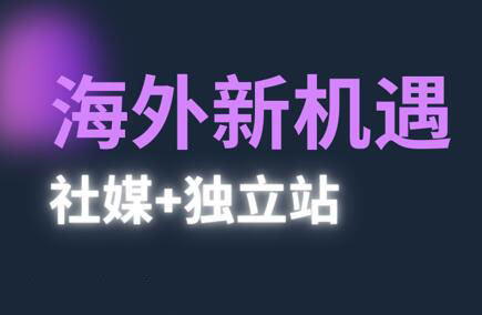 棕榈·2025出海新机遇(社媒+独立站) - 奉壹网创-奉壹网创