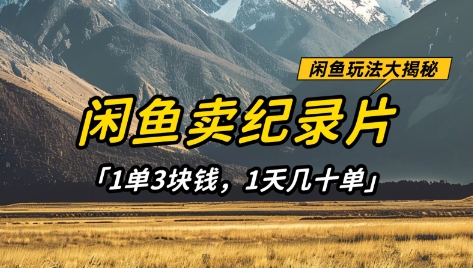 闲鱼卖纪录片1单3块钱，1天几十单，项目稳定有潜力 - 奉壹网创-奉壹网创