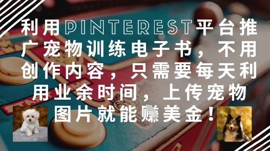 利用Pinterest平台推广宠物训练电子书，不用创作内容，只需要每天利用业余时间，上传宠物图片就能挣美金! - 奉壹网创-奉壹网创