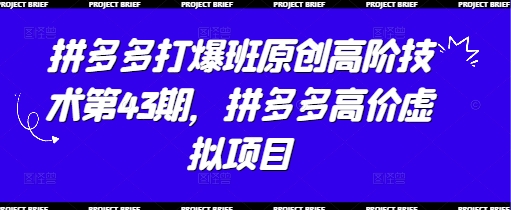 拼多多打爆班原创高阶技术第43期，拼多多高价虚拟项目 - 奉壹网创-奉壹网创