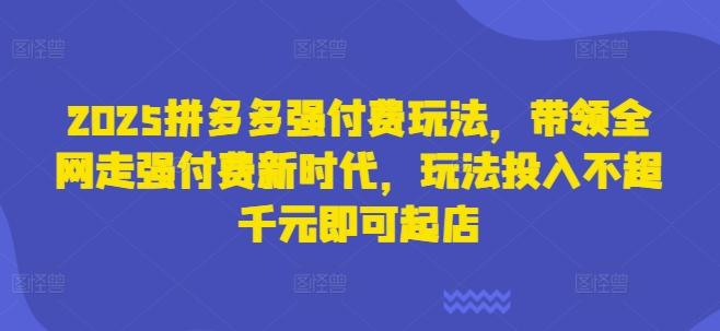 2025拼多多强付费玩法，带领全网走强付费新时代，玩法投入不超千元即可起店 - 奉壹网创-奉壹网创
