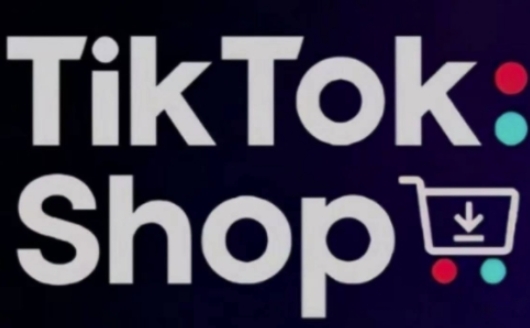 TikTokShop跨境电商0-1实战，手把手教你低成本启动海外市场(更新) - 奉壹网创-奉壹网创