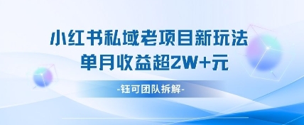 小红书私域项目新玩法，单月变现过W+ - 奉壹网创-奉壹网创