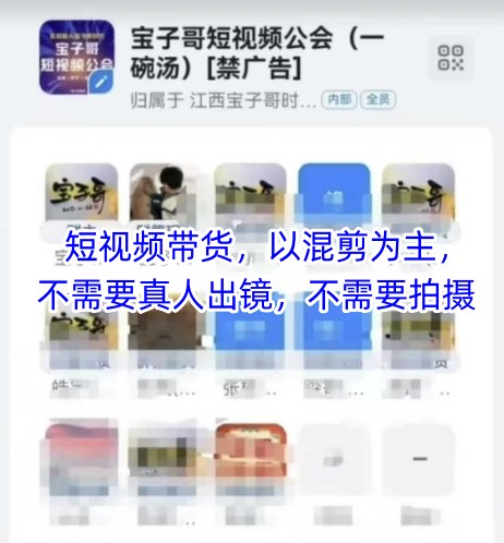 宝子哥头部团队短视频带货，以混剪为主，不需要真人出镜，不需要拍摄【更新】 - 奉壹网创-奉壹网创