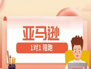 亚马逊1对1陪跑课(FBA/FBM精铺)跨境亚马逊教程 - 奉壹网创-奉壹网创
