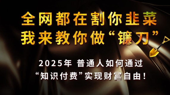 全网都在割你韭菜，我来教你做镰刀，2025普通人如何通过知识付费，实现财F自由【揭秘】 - 奉壹网创-奉壹网创